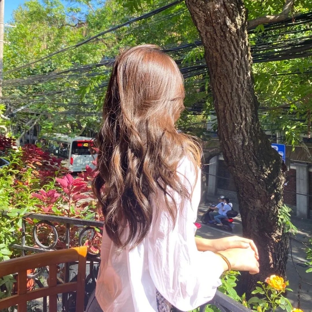 逆女泰瑞丝