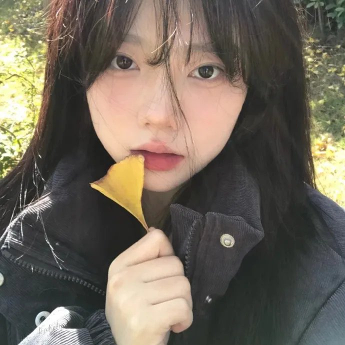 战地飘零燕
